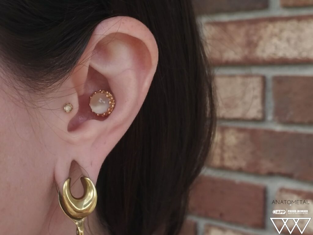 Conch Piercing
