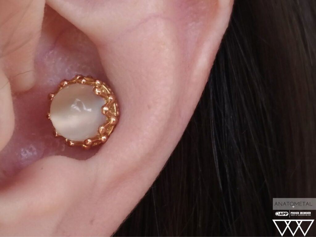 close up of a well-healed conch piercing, over 20 years old, upgraded with an 18k rose gold 'King' end from Anatometal, featuring a luminous moonstone centerpiece that adds timeless elegance to the ear's inner cartilage.