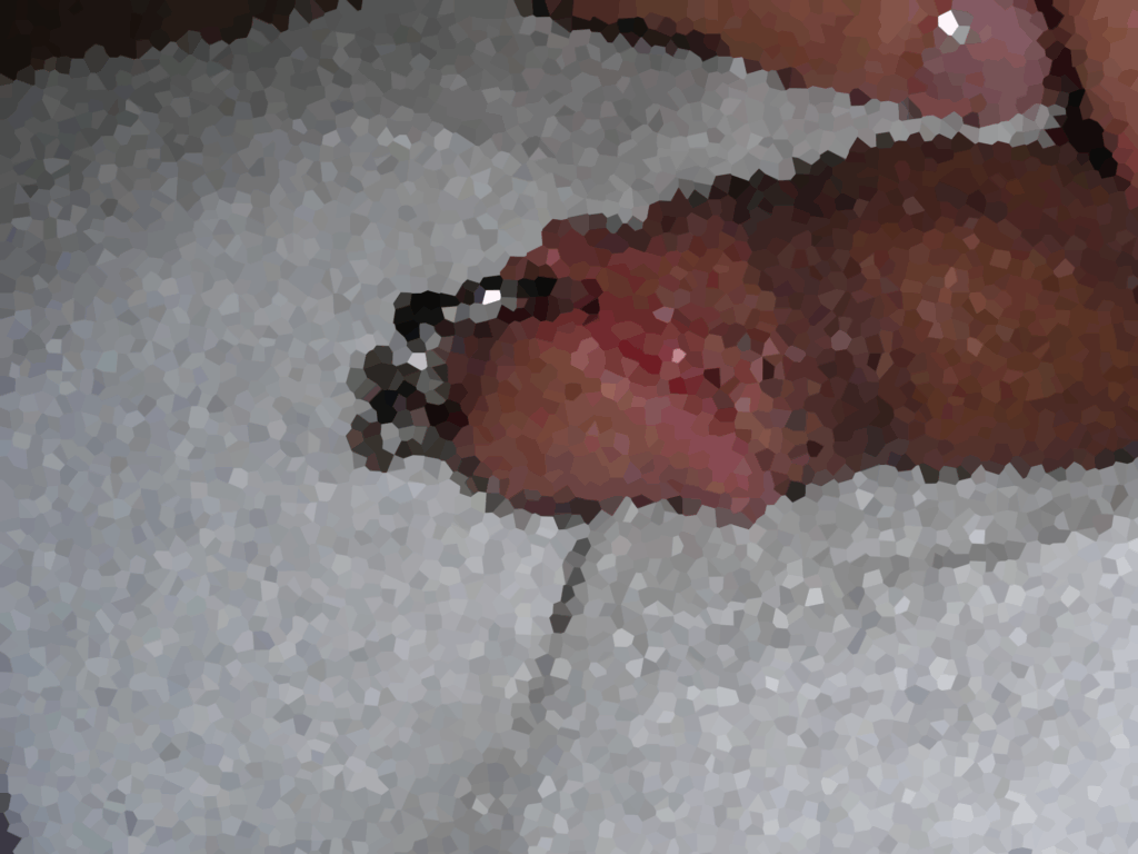 Prince Albert Piercing