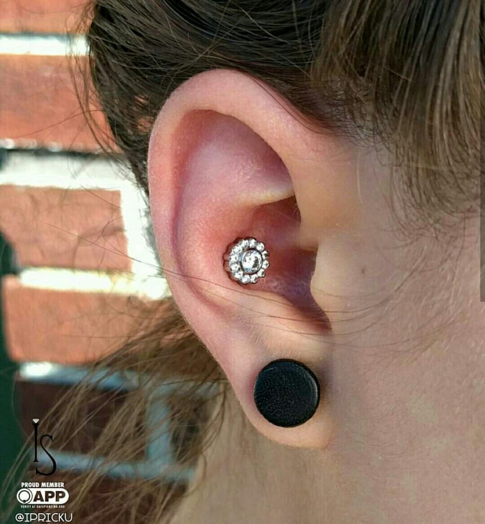 Conch Piercing in Staten Island, NYC | Professional PIercing Fresh conch piercing featuring an “Odyssey” flower threaded titanium end from Industrial Strength, showcasing the intricate floral design and precise placement within the ear's conch area.