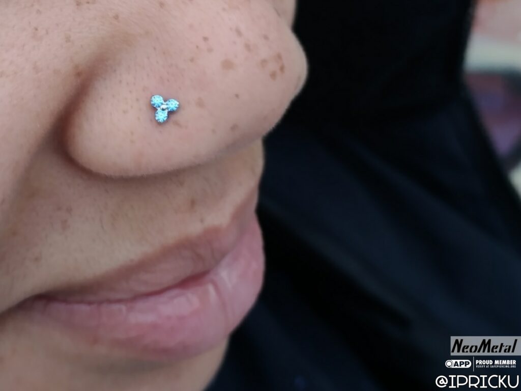 Nostril Piercing