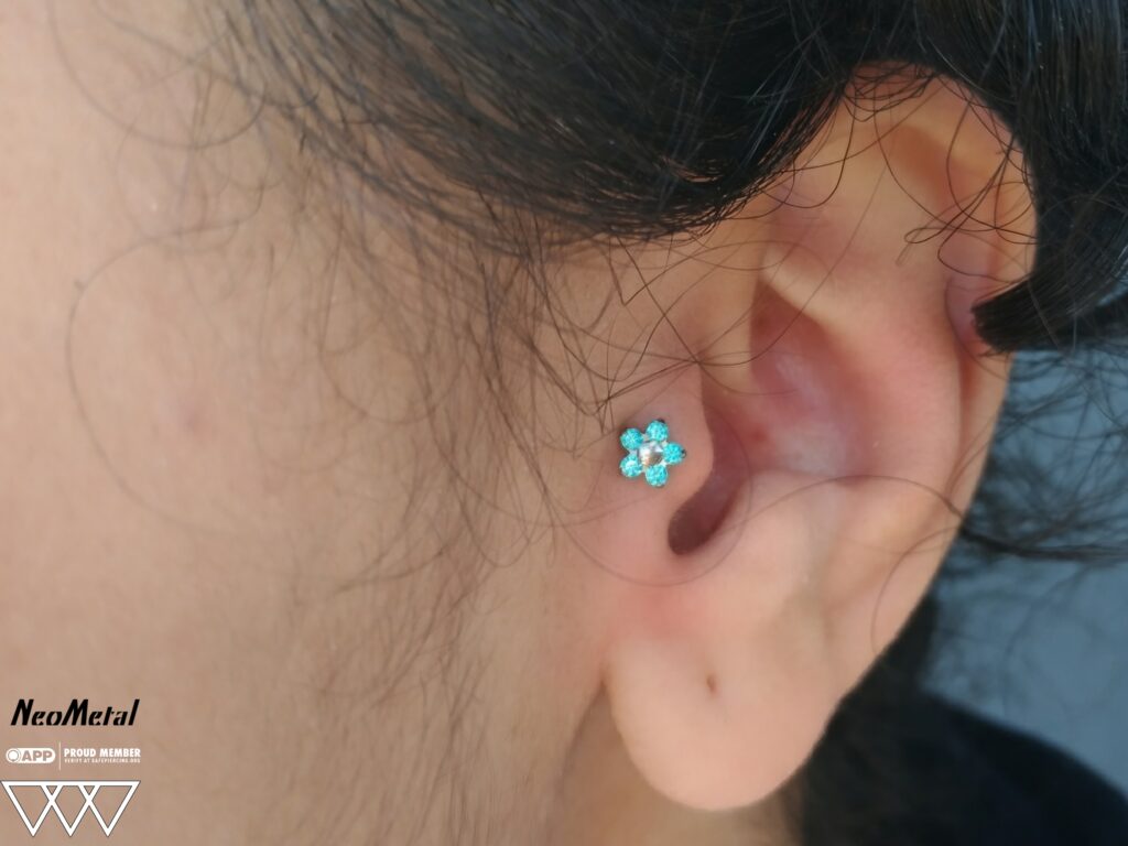 The Bronx Alternative – Safe, Expert Piercing Without the Shop Drama Fresh tragus piercing featuring a titanium flower end from NeoMetal, set with mint green Swarovski gemstones, highlighting elegant design and precise placement.