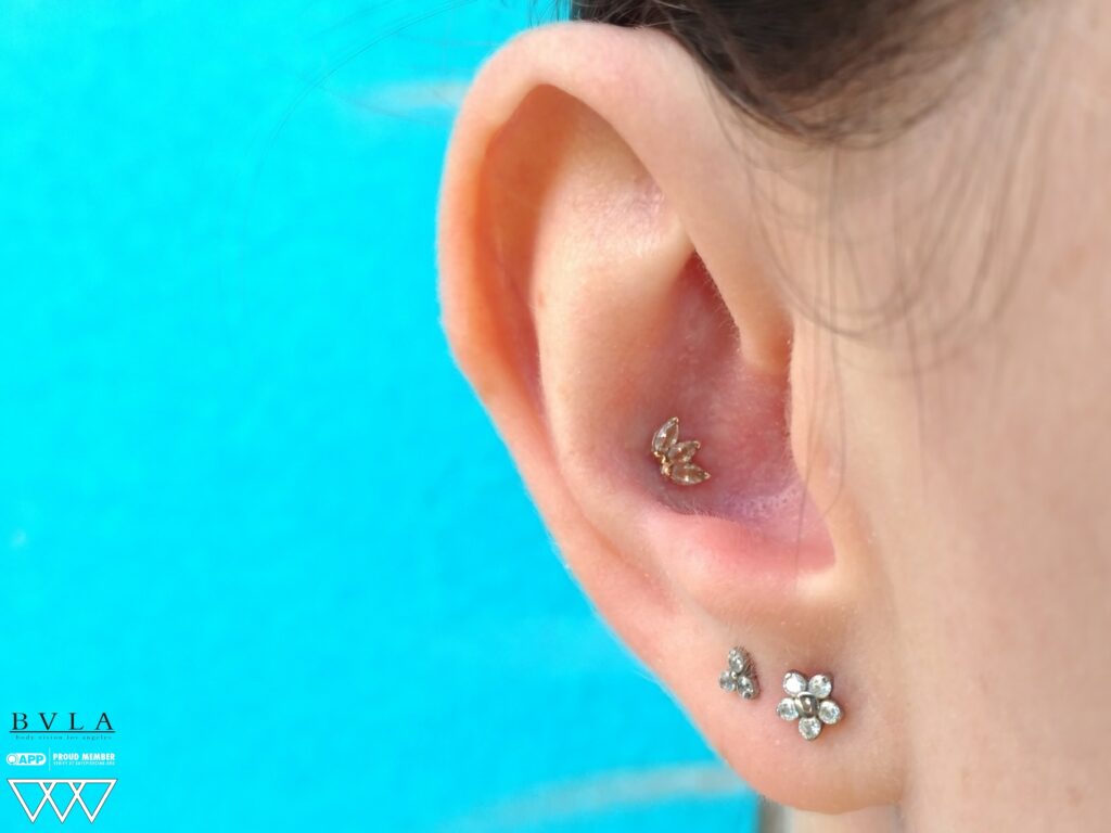 Conch Piercing