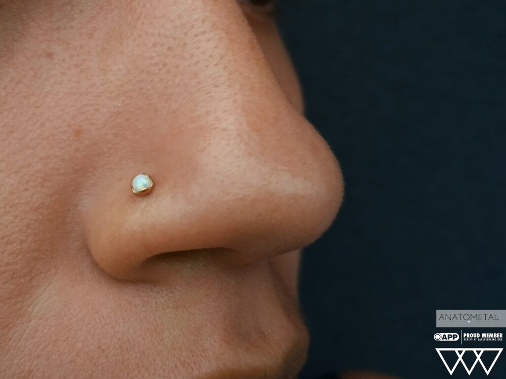 Nostril Piercing