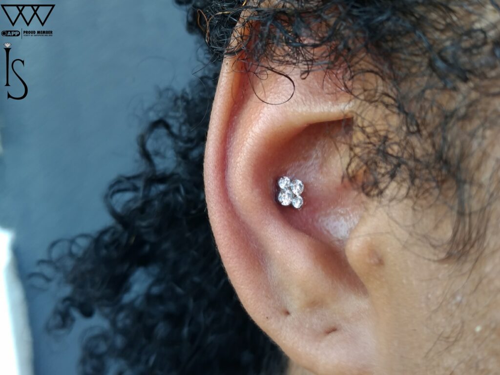 Conch Piercing