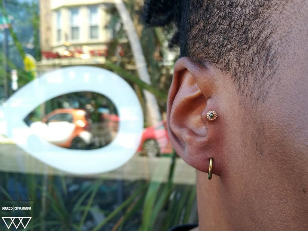 Tragus piercing featuring a 14k gold “Raine” threadless end from BVLA, showcasing intricate design and precise placement.