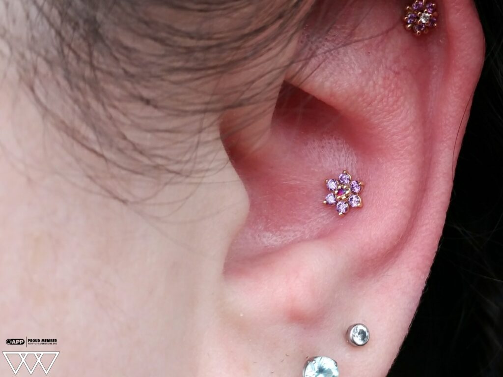 Close-up of a conch piercing featuring a 14k gold flower end from BVLA, set with mercury mist topaz and amethyst gemstones. The jewelry's intricate design and vibrant colors add a luxurious touch to the ear's central cartilage.