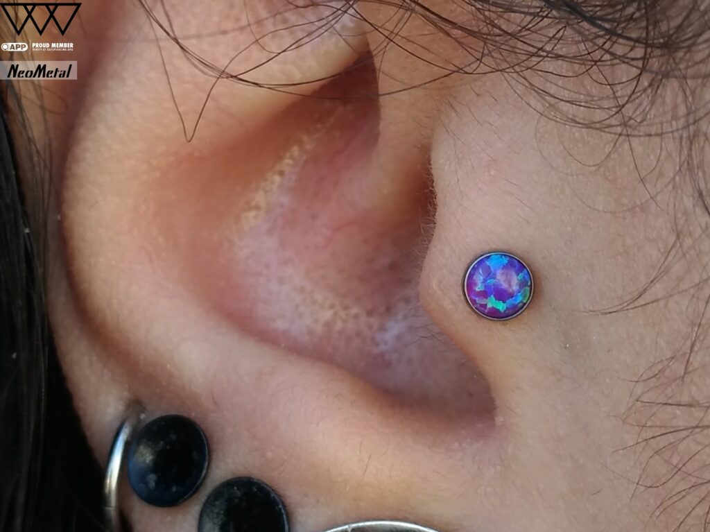 Tragus Piercing in Staten Island, NYC | Professional Piercing Close-up of a tragus piercing featuring a titanium bezel-set purple opal end from NeoMetal. The vibrant opal sits securely in the small cartilage flap at the ear's entrance, adding a subtle yet striking accent.