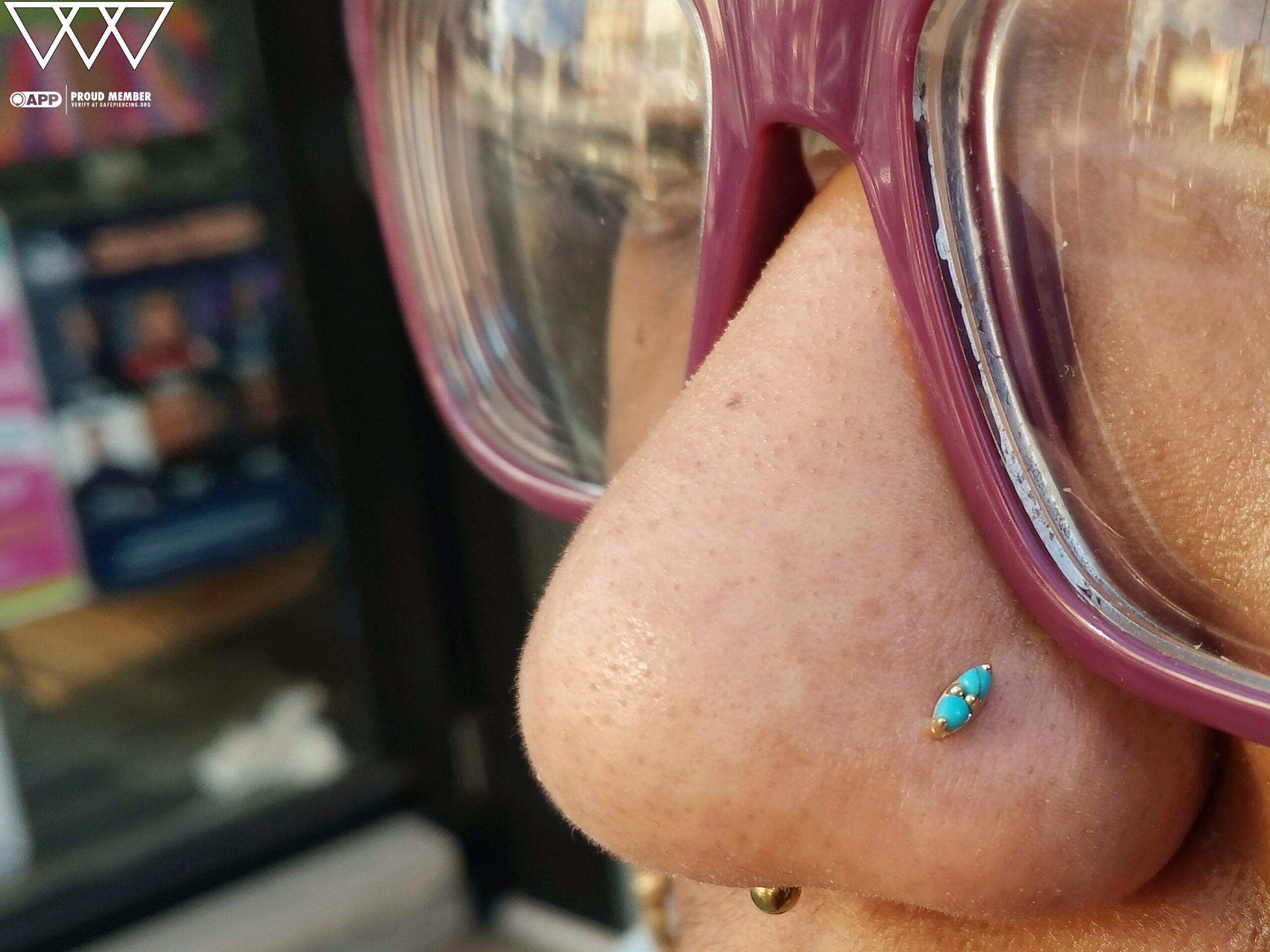 Nostril Piercing