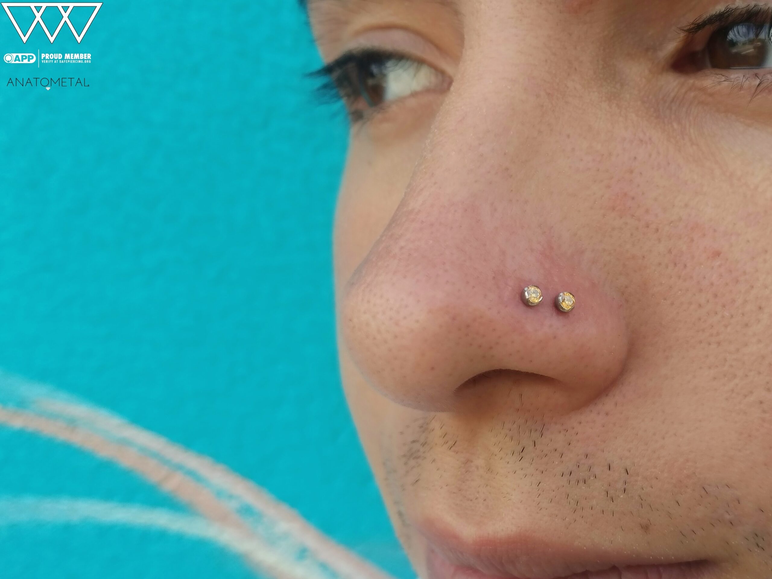 Double Nostril Piercing