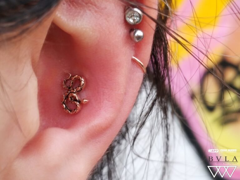 Conch Piercing