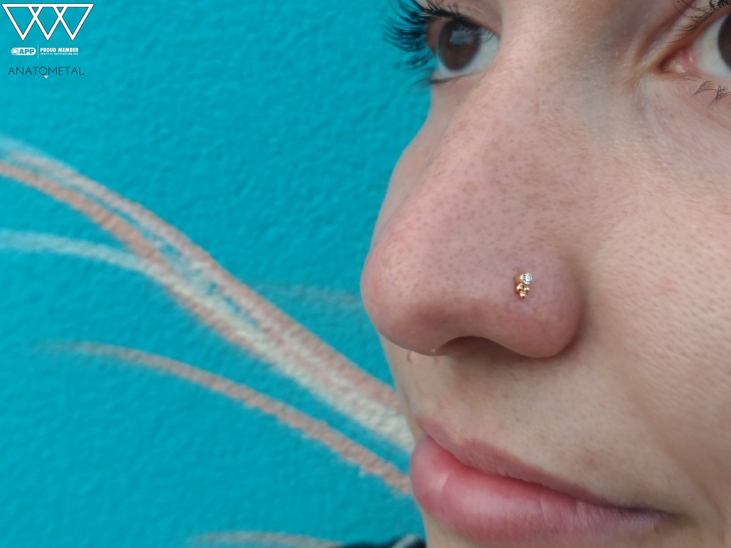 Nostril Piercing