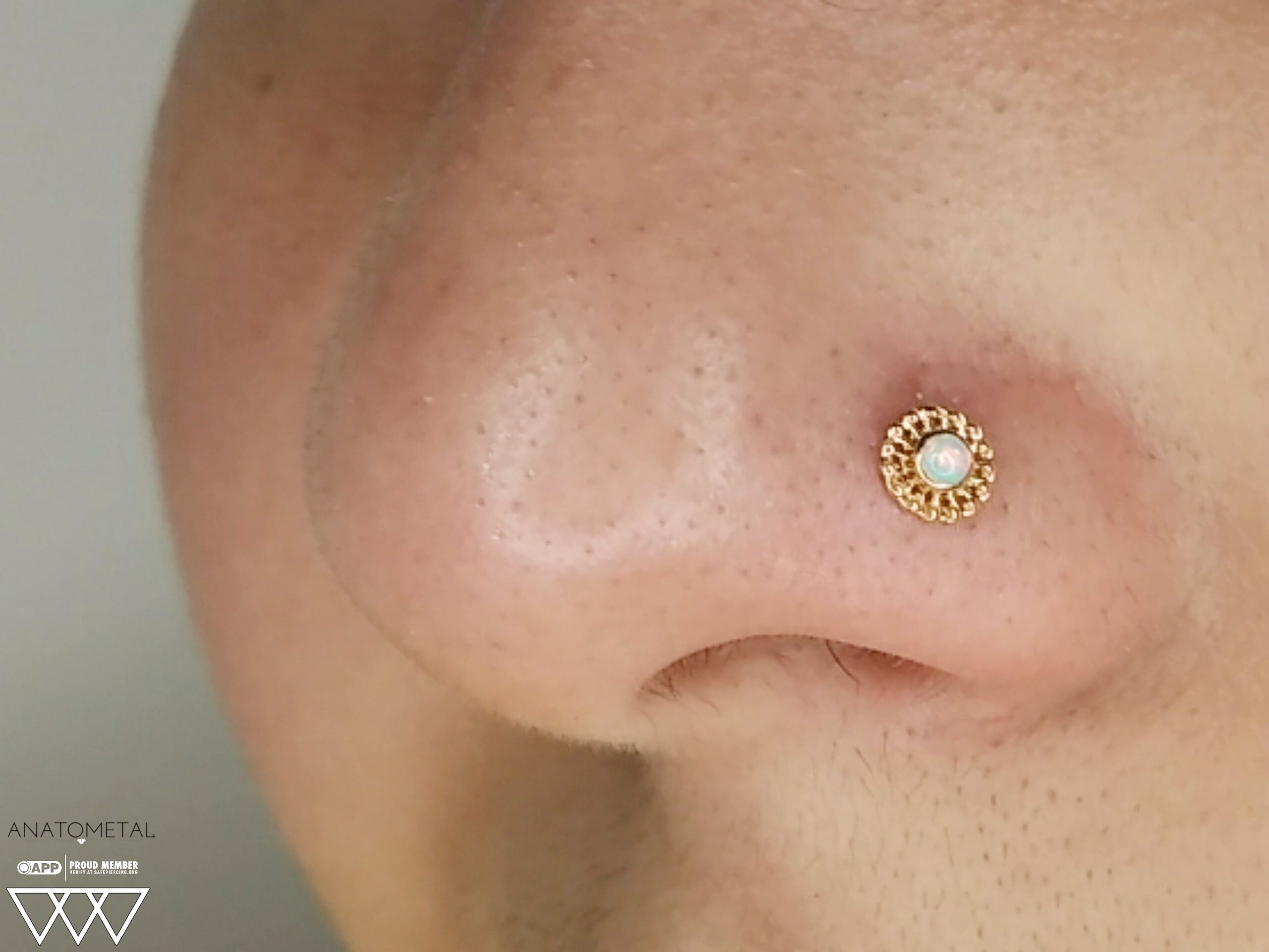 Nostril Piercing