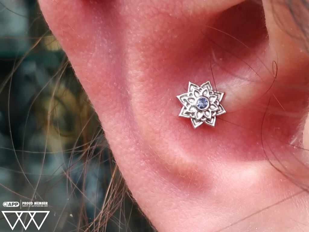 A conch piercing featuring an 18k white gold 'Sol' threaded end from BVLA, set with a vibrant tanzanite gemstone, adding a touch of elegance and color to the ear's inner cartilage.