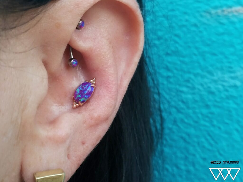 Conch Piercing