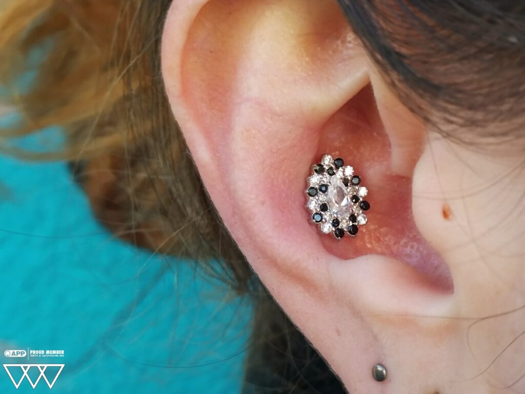 A conch piercing adorned with a 14k white gold 'Laura' end from Dinamica Joalheria, featuring a striking arrangement of white and black Swarovski gemstones for a bold, elegant contrast.