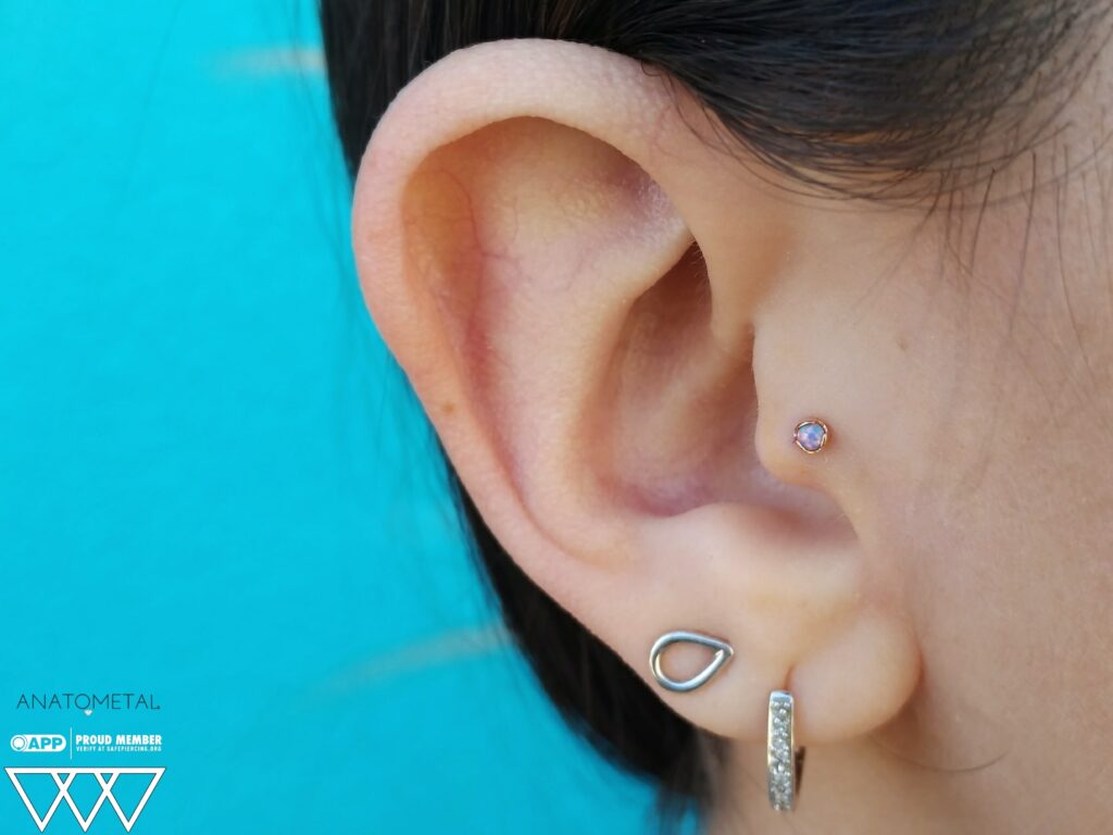 A freshly pierced tragus adorned with an 18k rose gold prong-set threadless end from Anatometal, featuring a luminous lavender opal cabochon that adds a soft, ethereal glow to the ear's cartilage.