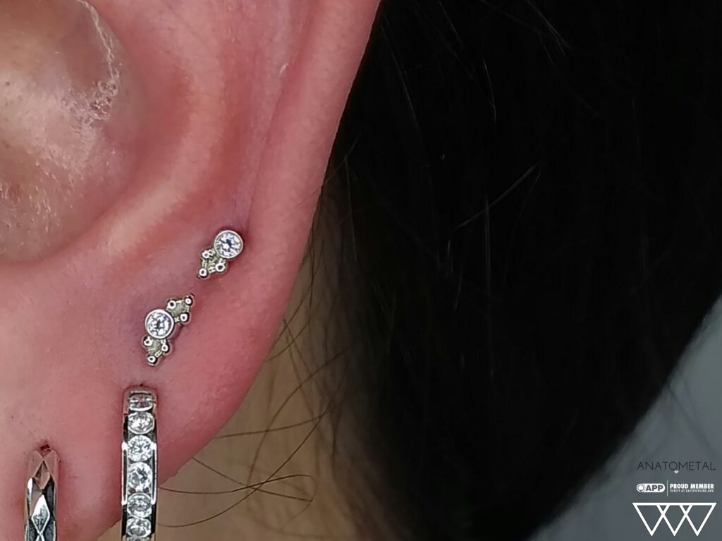 Two freshly pierced lower helix piercings, each adorned with 18k white gold 'Sabrina' ends from Anatometal, showcasing a refined and symmetrical look on the outer ear cartilage.