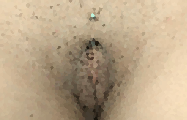 Pubic Mound Piercing