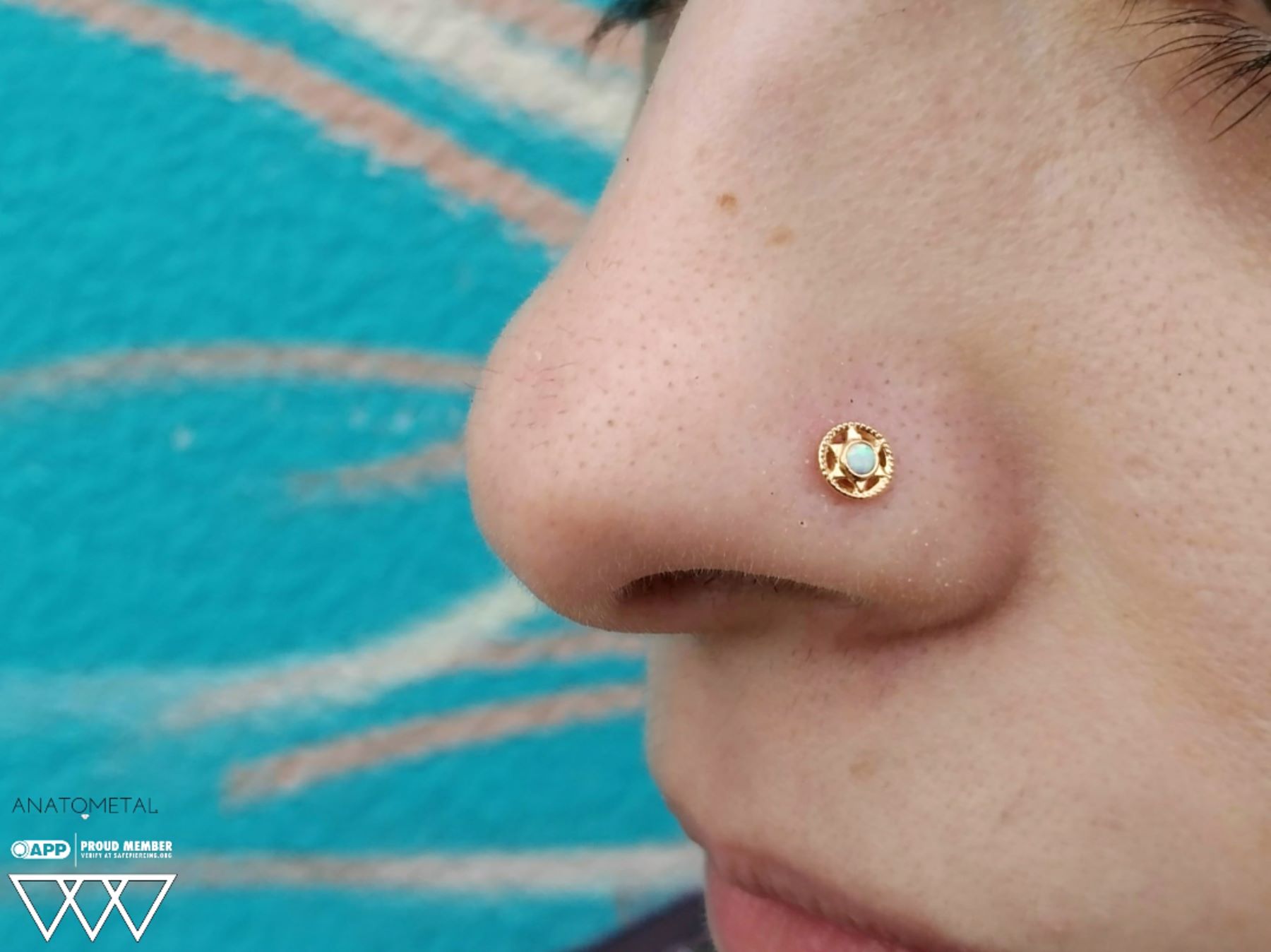 Nostril Piercing