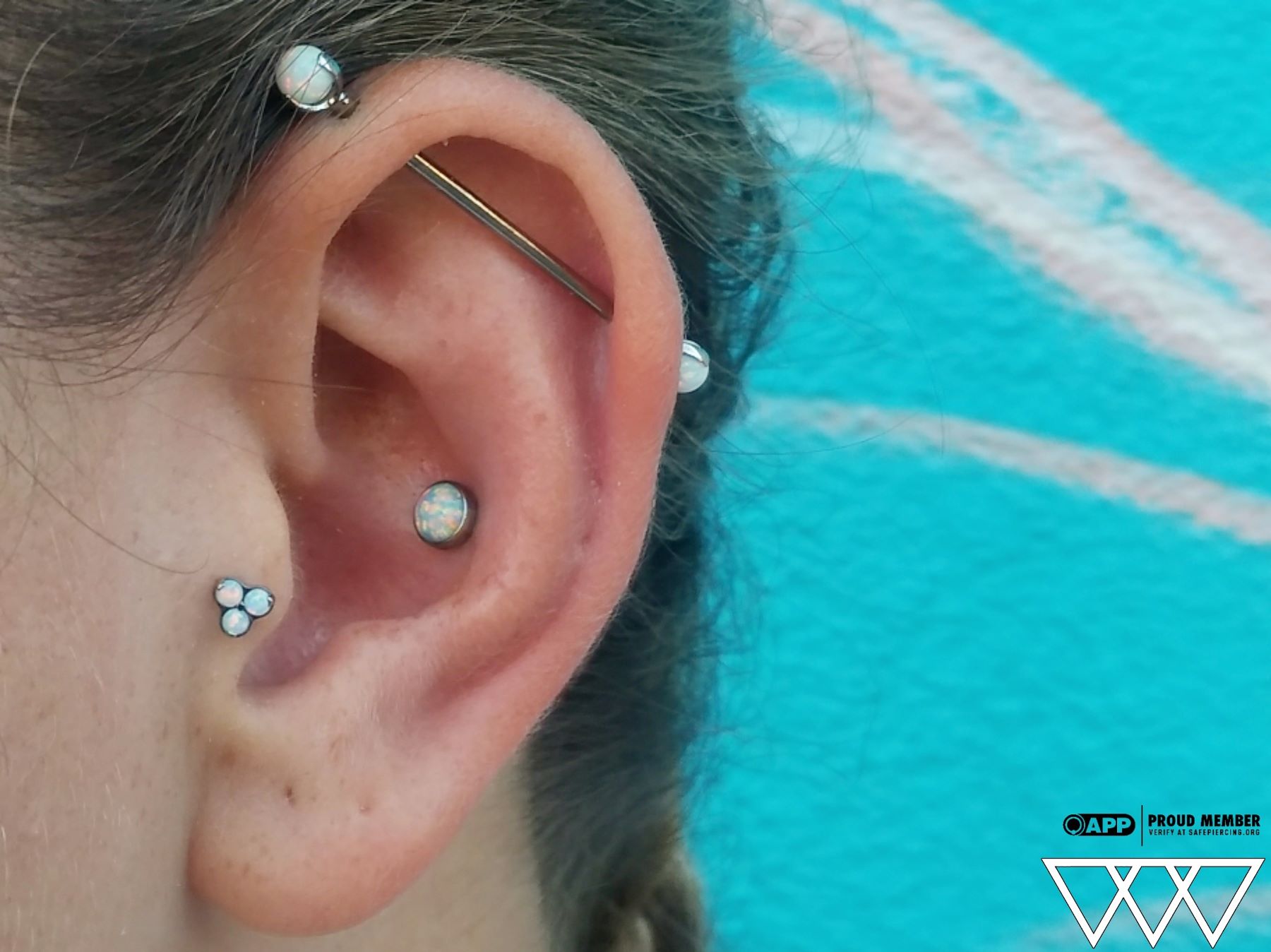 Ear Curation
