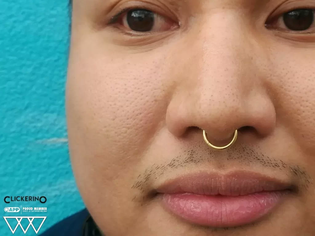 Septum Piercing in Staten Island, NYC | Professional Piercing Close-up of a healed septum piercing adorned with an 18k yellow gold clicker hoop from Clickerino, highlighting the elegant design and precise placement.