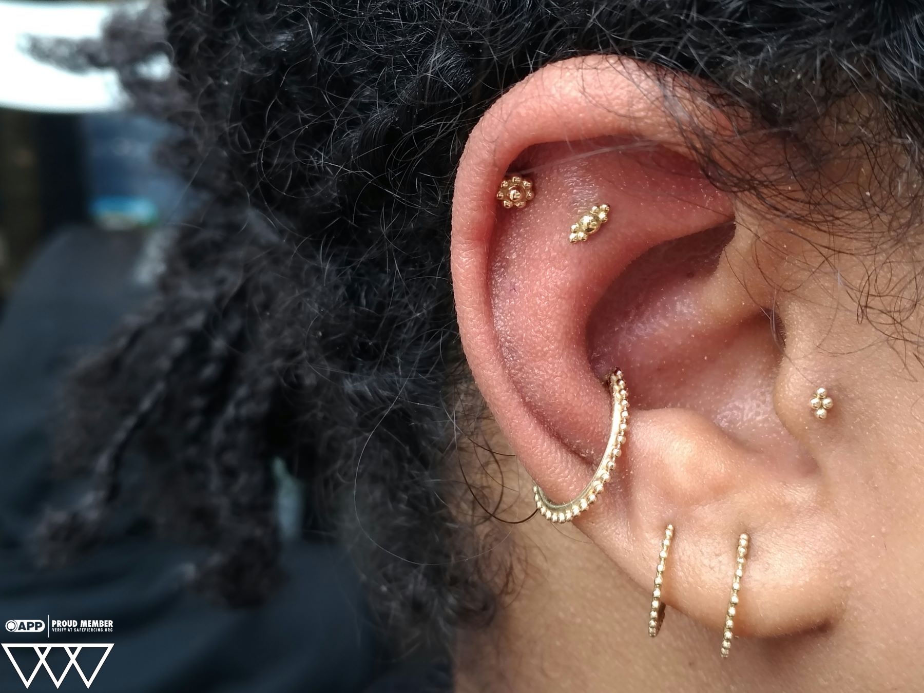 Ear Curation