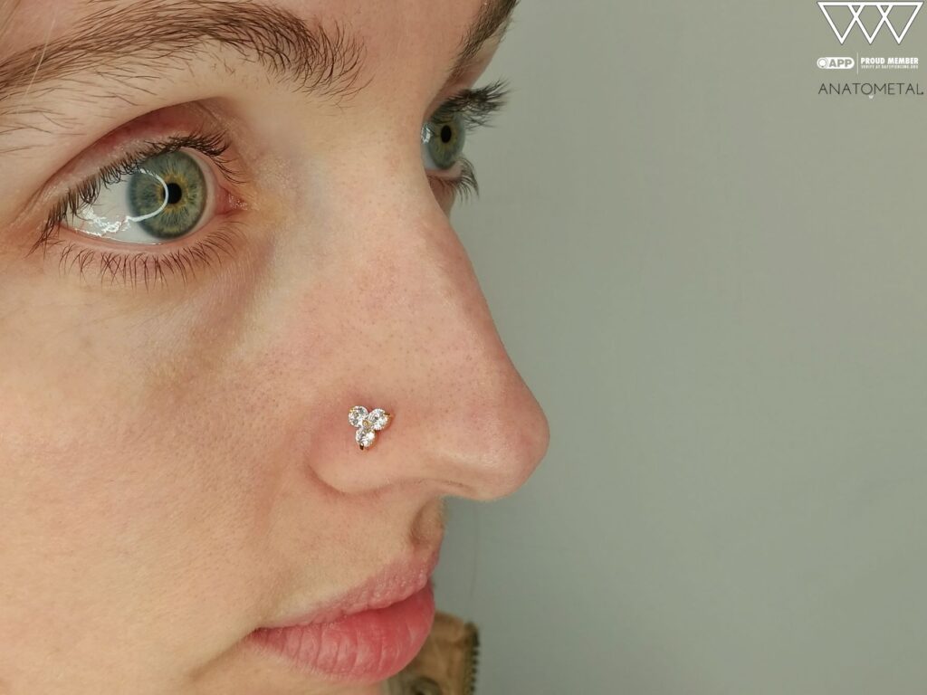 Nostril Piercing