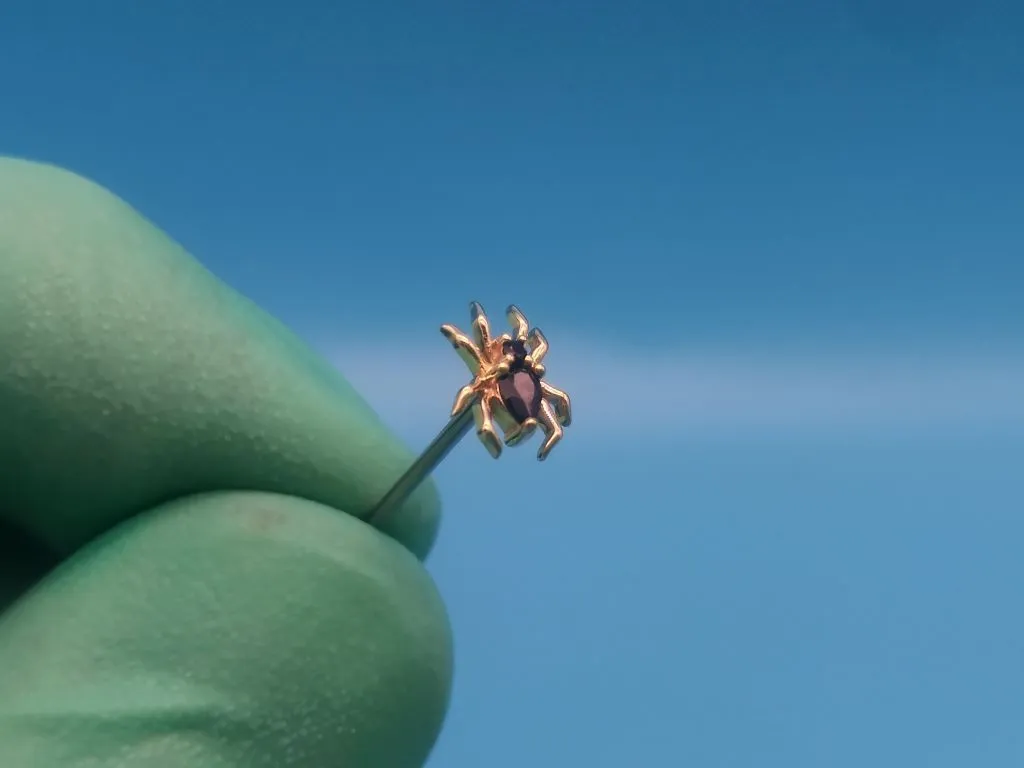 Anti-Tragus Piercing in Staten Island, NYC | Professional Piercing